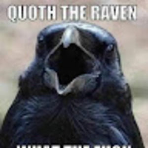 Meet your Posher, Blitz